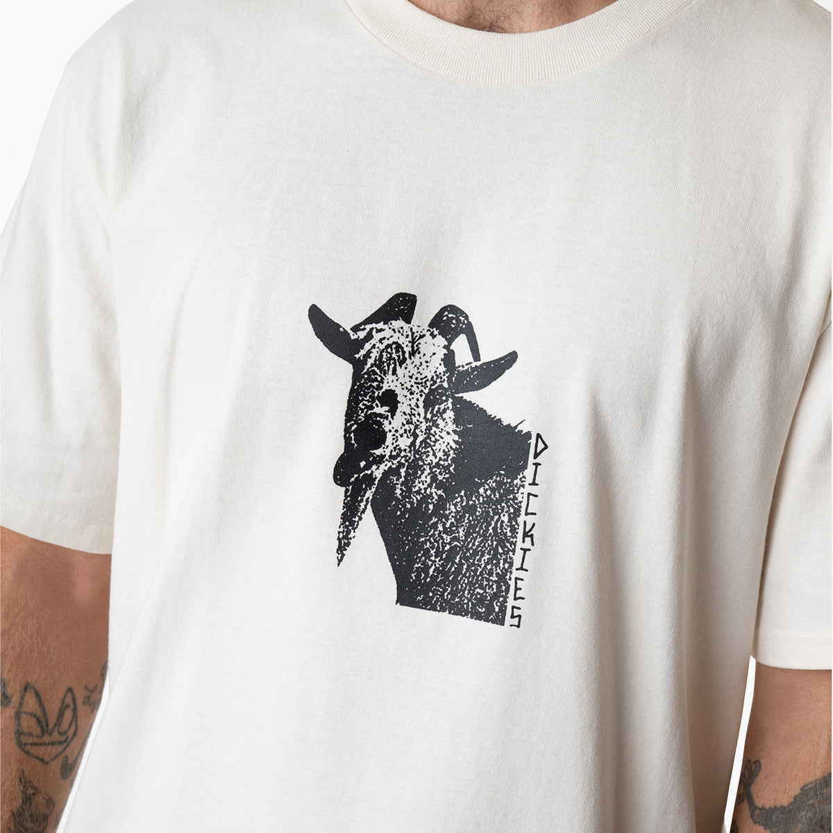 Dickies Mike Anderson Graphic T-Shirt