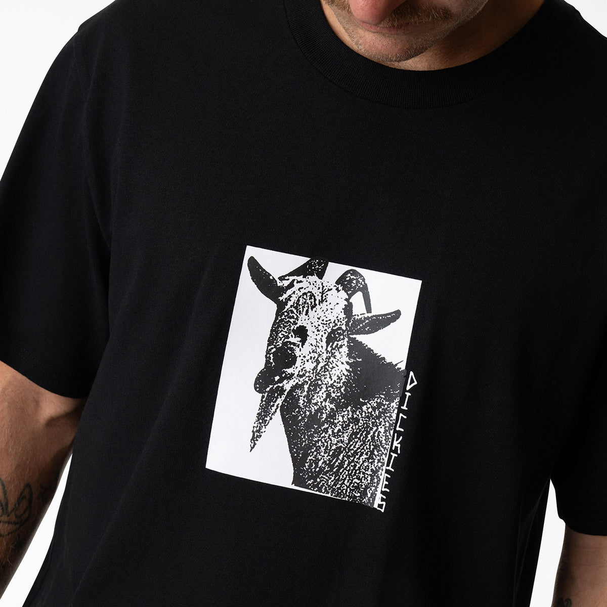 Dickies Mike Anderson Graphic T-Shirt