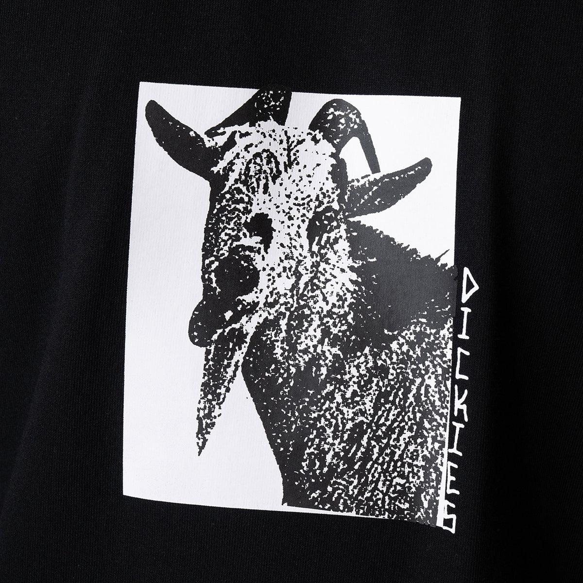 Dickies Mike Anderson Graphic T-Shirt