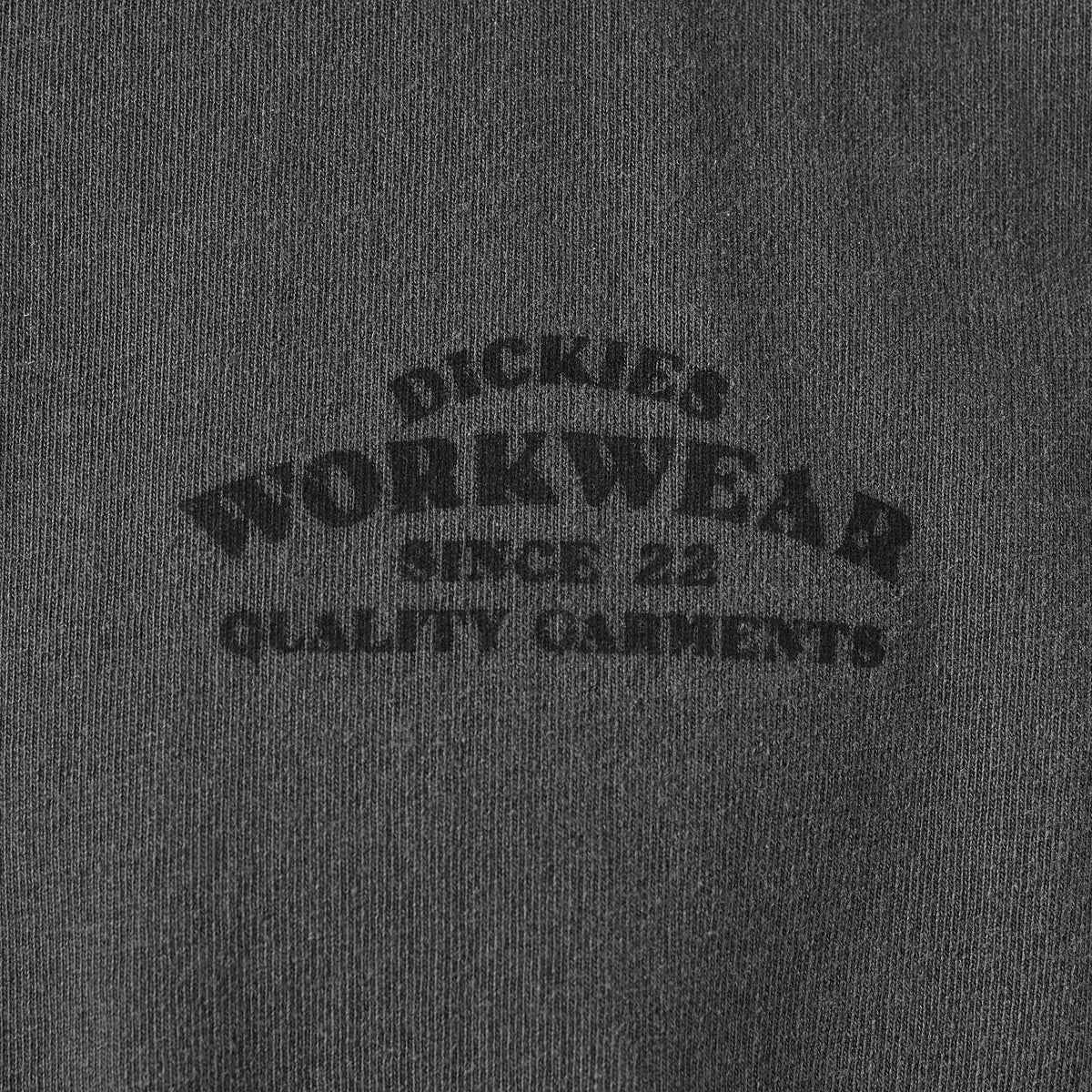 Dickies Christiana T-shirt